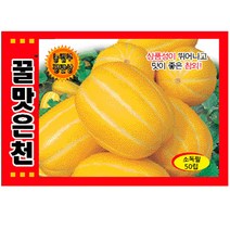꿀맛은천 참외씨앗 50립, 꿀맛은천 참외