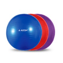 스타 짐볼 65CM 마사지 재활 헬스 스트레칭 탱탱볼, 파랑