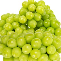 프리미엄 고당도 산지직송 최상급 샤인머스켓, 1수 600g~700g내외