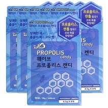 해호 웨이브 프로폴리스캔디 8정 페퍼민트 6개, 단품, 단품