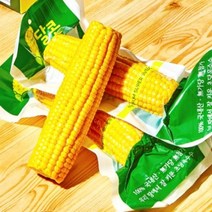 FUNET 고당도 초당옥수수 찰옥수수 10개 20개, 1박스, 52_초당옥수수 진공포장 1팩(4개입)