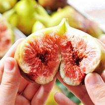 첫수확!! 2023 영암 하우스 무화과 500g 1kg, 영암무화과 500g X 4팩 20-32과 내외