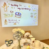 생일 축하 문구 미니빔 파티 배경 꾸미기 현수막 홀로그램 인스타 포토존 만들기 파티용 홈파티 용품 촬영 소품 제작 데코 조명 파티커튼, 사각 마카롱 생일 프로젝터 (배터리)