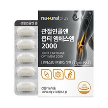관절연골엔 엠에스엠 MSM 60정