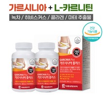 L 카르니틴 함유 식약처인증 다이어트 보조제 가르시니아 112정 HCA 체지방 감소 탄수화물 컷팅제 급찐살 복부지방 피하지방 뱃살 감소 알약케이스 포함, 112정 x 2병 (16주)