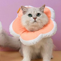 중성화수술후 꽃모양 고양이 쿠션넥카라 S형 UFO넥카라 고양이목보호 고양이용품