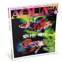 아쿠아라이프 19년 06월호 - (열대어잡지)