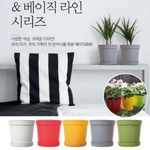 화분 원예용품 실내정원 베이직 미니 컬러 반려식물 인테리어, 베이직미니 옐로우