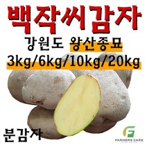 [강원도 정품 왕산종묘] 백작 씨감자 찐감자 쪄먹는 감자 분감자 두백 왕산 감자씨 햇감자, 20kg
