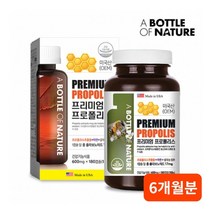 미국산 대용량 프로 폴리스 아연 1일 권장 섭취량 100% 기관지 염증 면역력 항산화 도움 에 좋은 영양제, 1BOX(6개월분)
