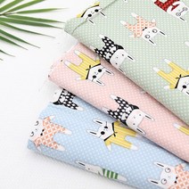 면20수 강남토끼 E39, 블루