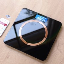 가정용인바디 미니체중계 체지방측정기, 검은색