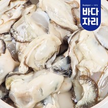 통영 산지직송 당일손질 생굴 300g 800g 2kg 깐굴 석화 통영굴 돌굴 냉동굴, 냉동굴 600g