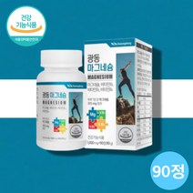 마그네시움 마그네숨 산화 마그네슘 비타민b1 b2 b6 마그네이슘 영양제, 마그네슘 비타민B군 90정 X1통