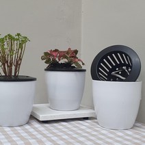 원형 자동급수 저면관수 화분 소형, 상품선택