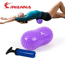 i워너278 미니 땅콩 짐볼 펌프포함 Sumak*5135EA, 본상품선택