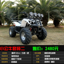 ATV 125cc-250cc 쿼드 바이크 산악 자전거 오프로드 ATV, 단일사이즈, 리틀 불 세트 2