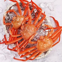 [산지직송] 조선의꽁치 포항 구룡포 연지홍게, 10~12마리, [고급] 라면용 연지홍게 3kg