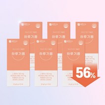 하루기쁨 무기력 의욕상실 마음회복 종합관리 포뮬러 마음의 영양 전문약사 연구개발, 하루기쁨 6BOX