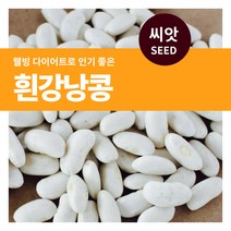 마이플랜트 흰강낭콩 씨앗 30g