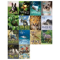 [지성사/문화상품권오천원권]딩동 도감시리즈(전14권)