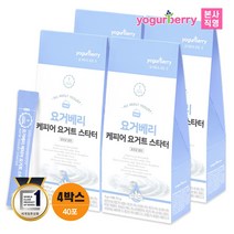 요거베리 케피어 스타터 티벳버섯 효모 유산균 40포 (유통기한 20203.06.14), 단품