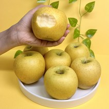 황금사과 시나노골드 가정용 흠과 아삭달콤 맛있는 노란 경북 사과, 가정용 2kg, 중소~중과 7~9과 내외