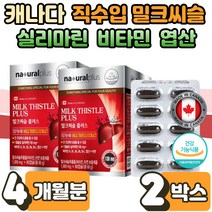 밀크 미크 씨슬 시슬 시술 실리 마린 간 건강 보호 30대 40대 50대 60대 남성 여성 직장인 간 건강 에좋은 효능 세포 보호 면역 기능 에너지 혈액 생성 2박스 피로 피곤