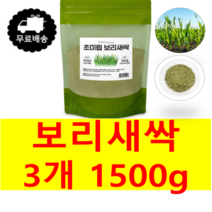 100% 국내산 국산 장흥 초미립 노지보리 새싹보리 보리새싹 분말 가루 파우더 파우다 새싹보리차 500g 스문무료제공, 3개