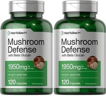 Horbaach 2통 베타글루칸 500mg 120캡슐+버섯 추출물 영지버섯+노루궁뎅이버섯+표고버섯+잎새버섯, 120캡슐