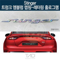 TaD 스팅어 순정 트렁크엠블럼 랩핑 레터링홀로그램 CK, 엠블럼미포함
