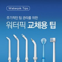 워터픽 구강세정기 전용팁 노즐팁, 플라그팁(호환가능/70K제외), 1개