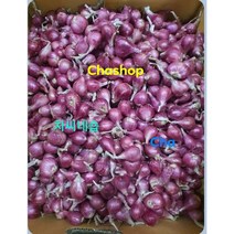 태국산 샬롯 미니양파 빨간색미니양파 살롯, 태국산 살롯 1kg ខ្ទឹមក្រហមថៃ