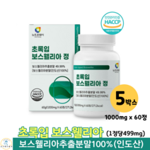 초록입 보수웰리아 보스웰리아 추출 분말 정 인도산 보스웰릭산 초록입홍합 보스엘리아 보수웰리아 60대 70대 여성 남성 관절 영양제 1000mg x 60정, 5박스
