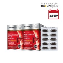 소중한 지친 간 육체 만성 피로 누적 회복 에 좋은 ALT AST 수치 낮추는 먹는 보호제 영양제, 2BOX(4개월분), 2개