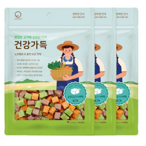 굿데이 강아지 건강가득 간식 300g, 30개, 오리고기 야채