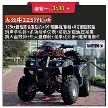 4륜바이크 농사용 농업 트럭 운반 입문용, 빅불세트-125cc 컴포트 에디션