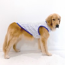 도기스타 홈런왕 대형 중형 소형견 기능성 야구 티셔츠, 블루