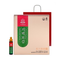기력보감 고려홍삼중앙회 20g 16병 쇼핑백 포함, 4박스