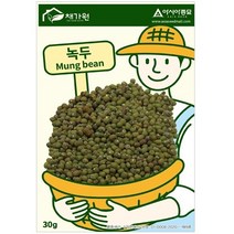 녹두콩 30g / 씨앗 종자 농작물 텃밭키우기 채소키우기