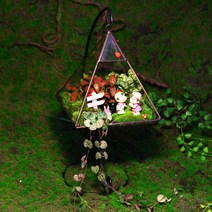 테라리움 키트 글래스 하우스 이끼테라리움 만들기 DIY 비바리움, 거품(완제품)