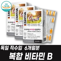 비타민B12 코발라민 비타민B6 피리독신 pyridoxine