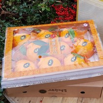 제주명품 한라봉 3kg(8-11수 대과 선물용) 오감만족 상큼하고 과즙미 팡팡 품격있는 명절과일선물세트!