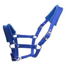 Royalways 연약한 덧대 진 조랑말 말 고삐 굴레 Headstall 머리 고리 말 승차 안정, 블루 M, 1개