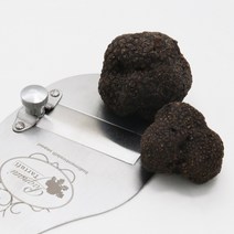 이탈리아 자연산 블랙 생트러플 송로버섯 트러플버섯 10g-60g (생물), 30G