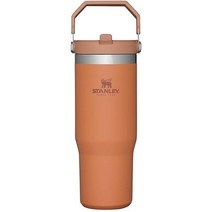 Stanley 스탠리 IceFlow 스테인리스 텀블러 빨대 포함 보냉 보온병, 30oz, Ochre