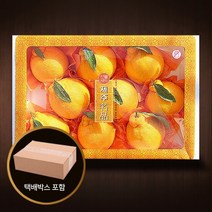 [참다올][서울분당퀵배송]제주한라봉세트3kg(7-8개), 1개