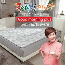 한일의료기 그레이캐슬 온열매트 전기매트(싱글 더블), 싱글 (100x200)
