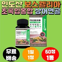 인도 프리미엄 보스웰리아 60정1통 초록입홍합 관절 해조칼슘 연골 추천 보스엘리아 테르페노이드 울금 해조칼슘 NAG 상어연골 리모넨 판토텐산