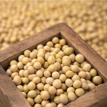 진코어 국산 백태 1kg 메주콩 백태콩 두부콩 약콩 콩국수콩, 1개